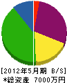 総合電機 貸借対照表 2012年5月期