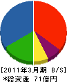 七彩 貸借対照表 2011年3月期