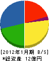 小西咲 貸借対照表 2012年1月期