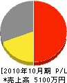 田村エンジニアリング 損益計算書 2010年10月期