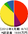 武井塗装店 貸借対照表 2012年8月期