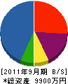 豊國新井 貸借対照表 2011年9月期