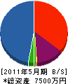 大竹電気工事 貸借対照表 2011年5月期