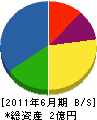和田建材 貸借対照表 2011年6月期