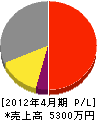 鈴木電気工業 損益計算書 2012年4月期