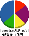 川島商事 貸借対照表 2009年9月期