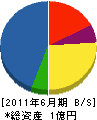 水城電気 貸借対照表 2011年6月期