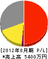 岩津電気商会 損益計算書 2012年8月期