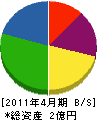大竹電機 貸借対照表 2011年4月期