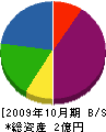 松徳産業 貸借対照表 2009年10月期
