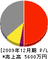田村工業 損益計算書 2009年12月期