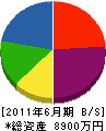 松戸工業所 貸借対照表 2011年6月期