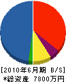 渡辺土木 貸借対照表 2010年6月期