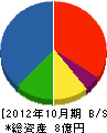 日東化建 貸借対照表 2012年10月期