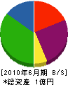 小野商店 貸借対照表 2010年6月期