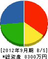 山本ポンプ工業 貸借対照表 2012年9月期
