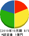 斎藤電気商会 貸借対照表 2010年10月期