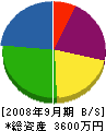 岳南塗装デザイン 貸借対照表 2008年9月期