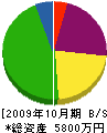 玉川電器商会 貸借対照表 2009年10月期