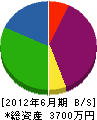 坂本塗装店 貸借対照表 2012年6月期