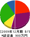 駒木電気工事店 貸借対照表 2009年12月期