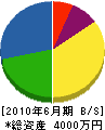 池田電気工業 貸借対照表 2010年6月期