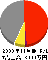 秋山コンストラクション 損益計算書 2009年11月期