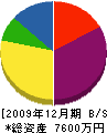 白沢製作所 貸借対照表 2009年12月期