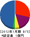 翔栄建設 貸借対照表 2012年1月期