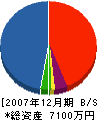 天草グリーン販売 貸借対照表 2007年12月期