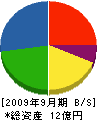 亀井組 貸借対照表 2009年9月期