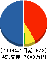 石井企業 貸借対照表 2009年1月期