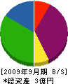 三井興業 貸借対照表 2009年9月期