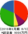 徳永電気工業 貸借対照表 2010年6月期