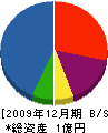 豊原工務店 貸借対照表 2009年12月期