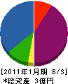 藤田電業 貸借対照表 2011年1月期