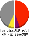 和田組 損益計算書 2012年6月期