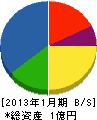柴田電機工業 貸借対照表 2013年1月期