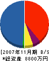 イザワデコム 貸借対照表 2007年11月期