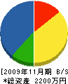 武川工業所 貸借対照表 2009年11月期