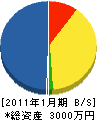 矢野工業 貸借対照表 2011年1月期