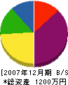 土井組 貸借対照表 2007年12月期