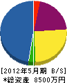 横浜ボーリング工業 貸借対照表 2012年5月期