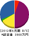 飯田造園 貸借対照表 2012年6月期