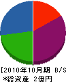 岩崎設備 貸借対照表 2010年10月期