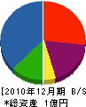 柿崎塗装 貸借対照表 2010年12月期