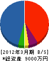 田原スポーツ工業 貸借対照表 2012年3月期