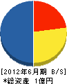 丸友開発 貸借対照表 2012年6月期
