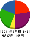 中島電工 貸借対照表 2011年6月期