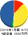 矢野工業 貸借対照表 2010年1月期